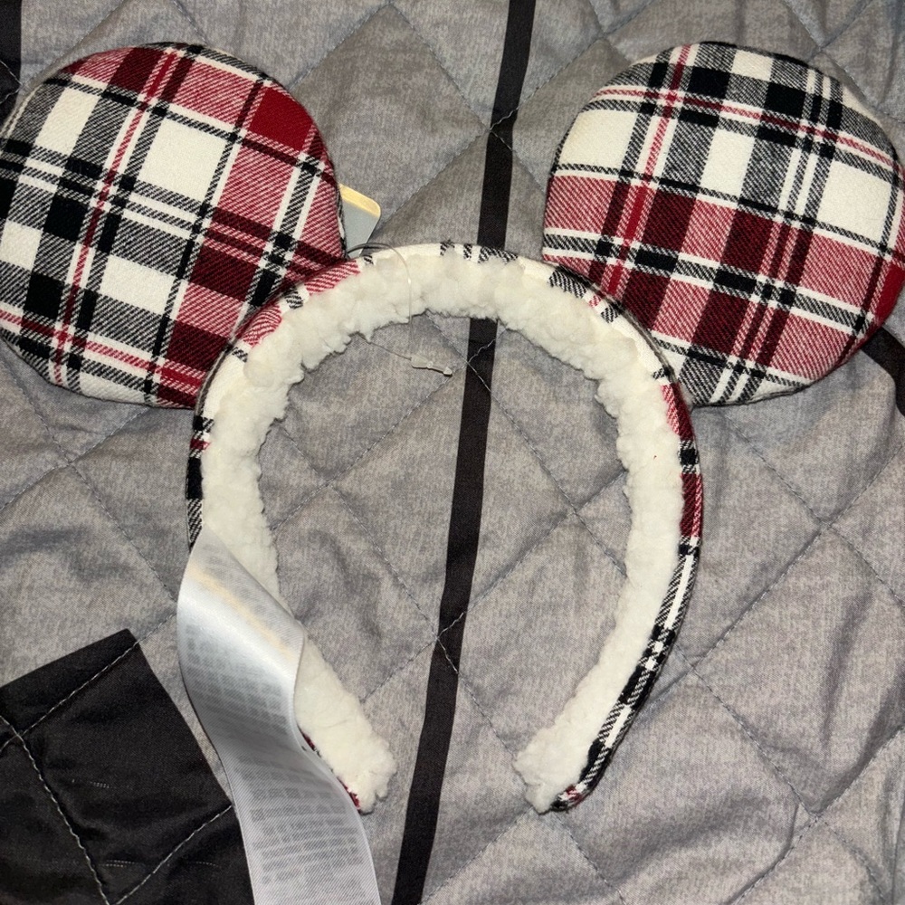 Disney park ears